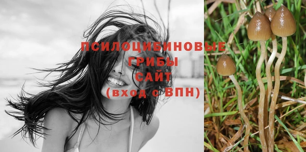 винт Абдулино