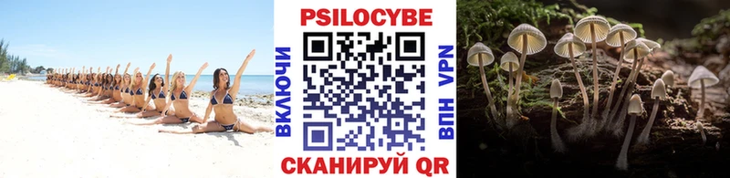 гидра tor  купить  сайты  Абаза  Псилоцибиновые грибы Psilocybine cubensis 